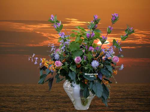 Schone vaas laagje water