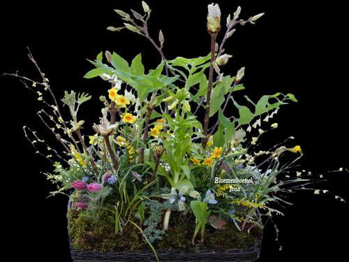 Begrafenis bloemen bestellen Voort zul je blijven doorbloeien