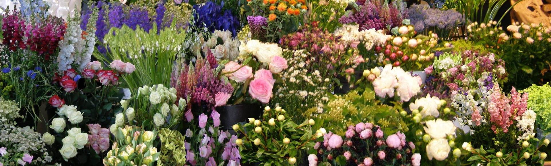 Bloemen voor elke gelegenheid