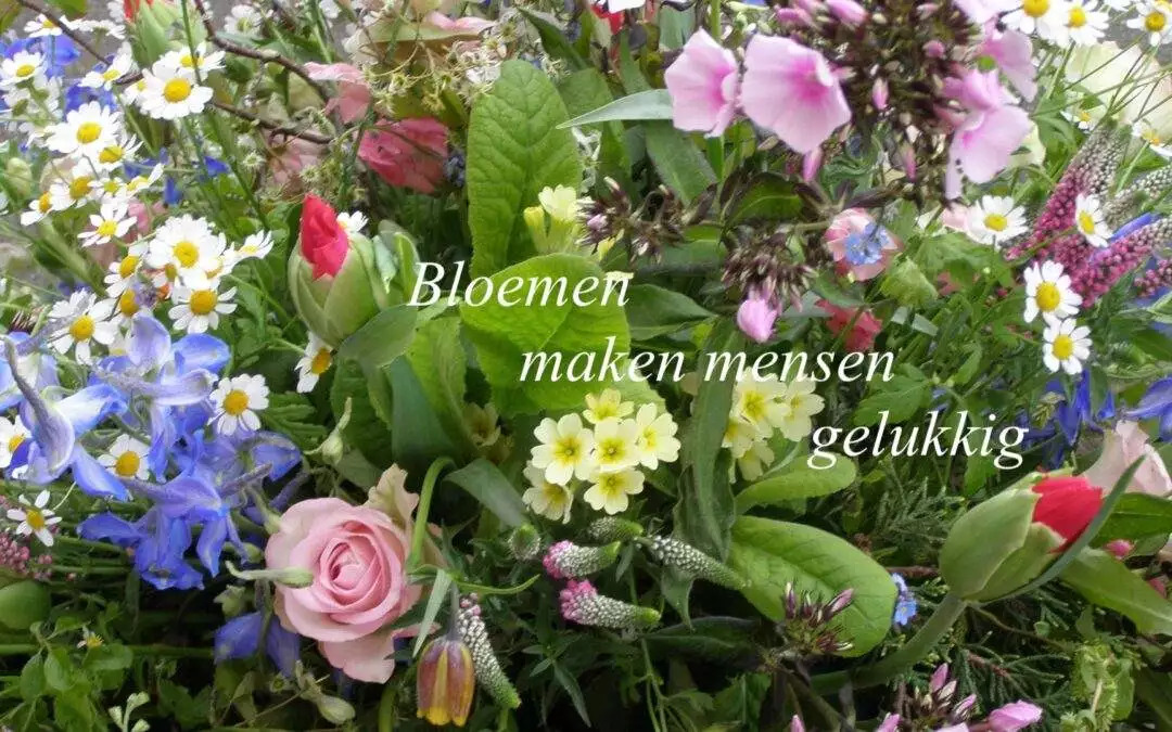 Geniet van kwaliteit!